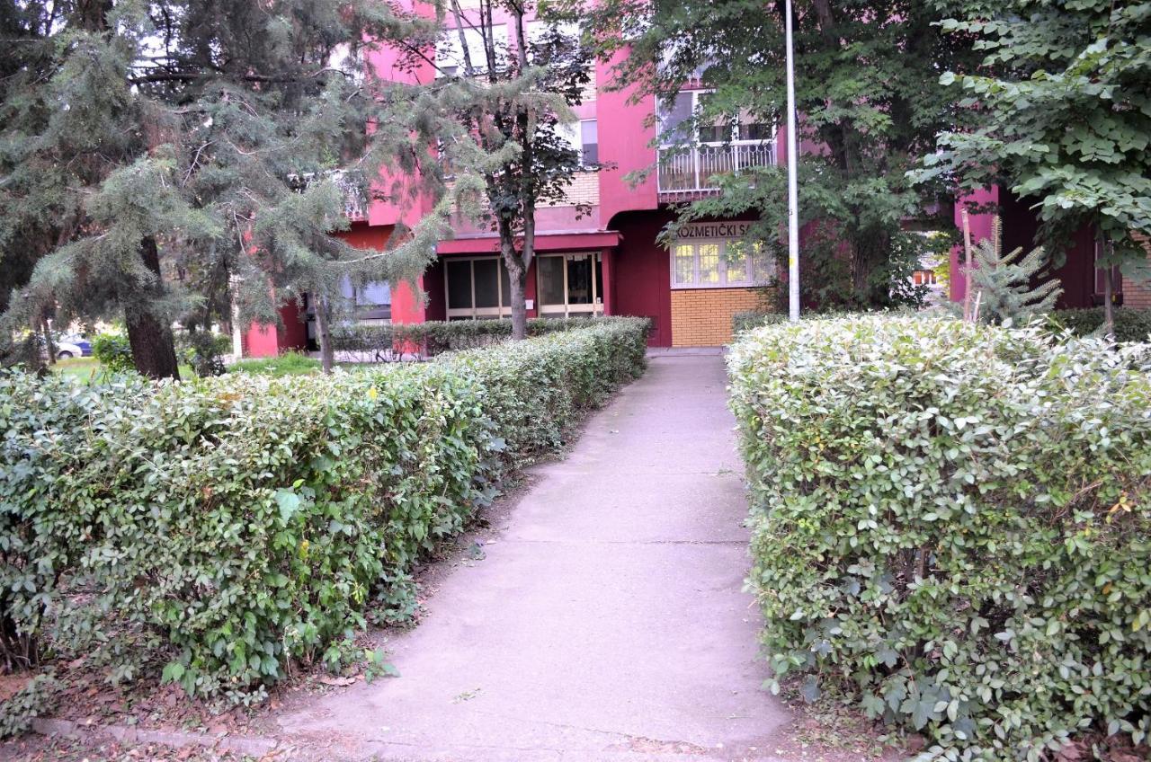 Apartament Balzak 64M2, Free Parking & Wi-Fi Nowy Sad Zewnętrze zdjęcie